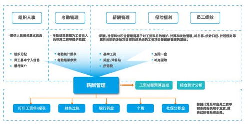 工厂记考勤算工资软件哪个好